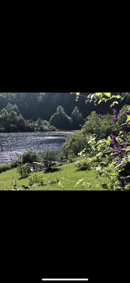 Glamping On Idyllic Lake, Paddle Boards & Rowboat 波什格伦 外观 照片